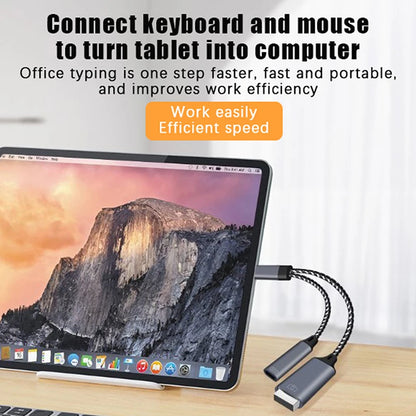 USB C OTG Cable Phone Adapter 2 In 1 Type C To USB