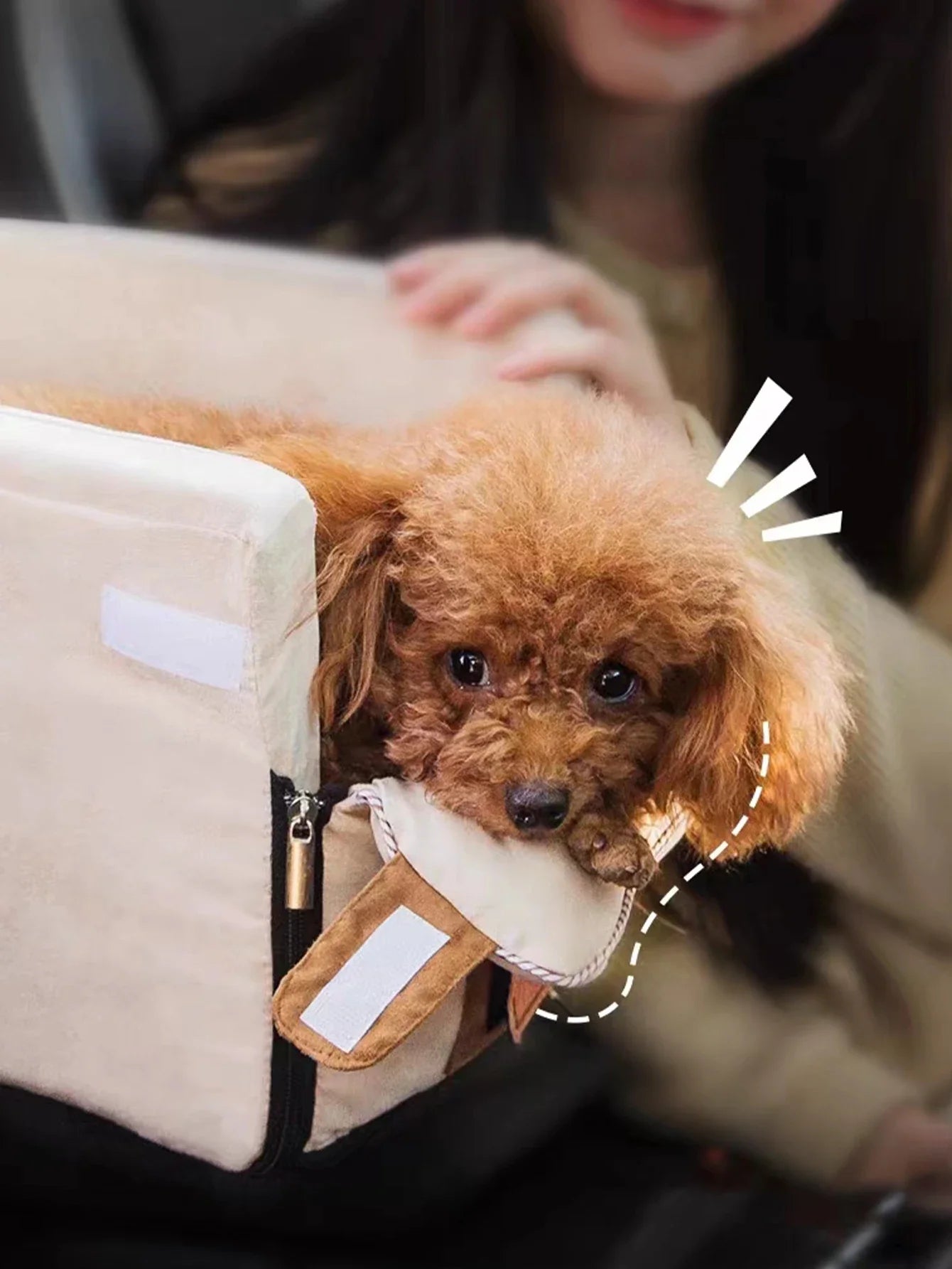 Portable Dog Beds Car Seats Basket Mat Warm Accessories Dogs Washable Travel Sofa Small Puppy For Pets Kennel Medium Pet Bed